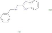 (1H-Benzimidazol-2-ylmethyl)benzylamine dihydrochloride