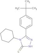 5-(4-tert-Butylphenyl)-4-cyclohexyl-4H-1,2,4-triazole-3-thiol