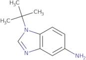 1-tert-Butyl-1H-benzimidazol-5-amine