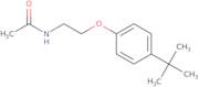 N-[2-(4-tert-Butylphenoxy)ethyl]acetamide