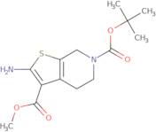 6-tert-Butyl 3-methyl 2-amino-4,7-dihydrothieno[2,3-c]pyridine-3,6(5H)-dicarboxylate