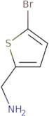 [(5-Bromo-2-thienyl)methyl]amine hydrochloride