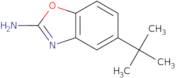 5-tert-Butyl-1,3-benzoxazol-2-amine