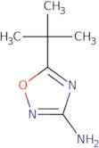 5-tert-Butyl-1,2,4-oxadiazol-3-amine