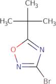 3-Bromo-5-tert-butyl-1,2,4-oxadiazole