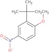 2-tert-Butyl-1-methoxy-4-nitrobenzene