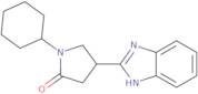 4-(1H-Benzimidazol-2-yl)-1-cyclohexylpyrrolidin-2-one