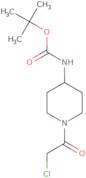 tert-Butyl [1-(chloroacetyl)piperidin-4-yl]carbamate