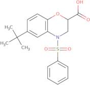 6-tert-Butyl-4-(phenylsulfonyl)-3,4-dihydro-2H-1,4-benzoxazine-2-carboxylic acid