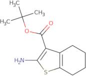 tert-butyl 2-amino-4,5,6,7-tetrahydrobenzo[b]thiophene-3-carboxylate