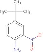 4-(tert-Butyl)-2-nitroaniline