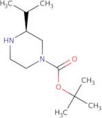 (S)-tert-Butyl 3-isopropylpiperazine-1-carboxylate