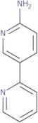 [2,3'-Bipyridin]-6'-amine