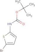 tert-Butyl (5-bromothiophen-2-yl)carbamate