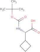 Boc-L-cyclobutylglycine