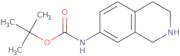 tert-Butyl (1,2,3,4-tetrahydroisoquinolin-7-yl)carbamate