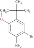 2-Bromo-4-(tert-butyl)-5-methoxyaniline