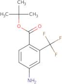 tert-Butyl 4-amino-2-(trifluoromethyl)benzoate