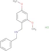 N-Benzyl-1-(2,4-dimethoxyphenyl)methanamine hydrochloride