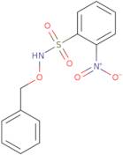 N-(Benzyloxy)-2-nitrobenzenesulfonamide