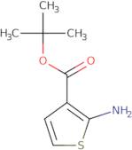 tert-Butyl 2-aminothiophene-3-carboxylate