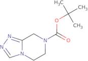 tert-butyl 5,6-dihydro-[1,2,4]triazolo[4,3-a]pyrazine-7(8H)-carboxylate