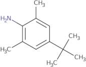 4-(tert-Butyl)-2,6-dimethylaniline