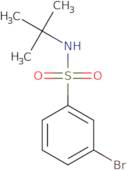 3-Bromo-N-(tert-butyl)benzenesulphonamide