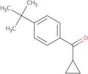 4-tert-Butylphenyl cyclopropylketone