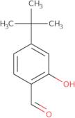 4-tert-Butyl-2-hydroxybenzaldehyde