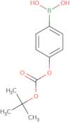 4-tert-Butoxycarboxyphenylboronicacid