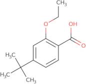 4-tert-Butyl-2-ethoxy-benzoicacid