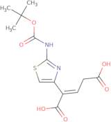 2-(2-tert-Butoxycarbonylaminothiazol-4-yl)-2-pentenedioicacid