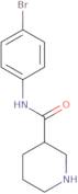 N-(4-Bromophenyl)piperidine-3-carboxamide