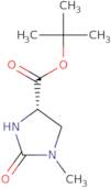 tert-Butyl(4S)-1-methyl-2-oxoimidazolidine-4-carboxylate