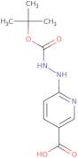 6-Boc-hydrazinonicotinicacid