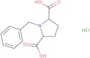 1-Benzylpyrrolidine-2,5-dicarboxylic acidHydrochloride