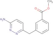 Benzoic acid, 3-[(6-amino-3-pyridazinyl)methyl]-, methylester