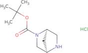 (1R,4R)-tert-Butyl 2,5-diazabicyclo[2.2.1]heptane-2-carboxylate hydrochloride