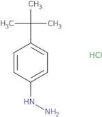 4-tert-Butylphenylhydrazine hydrochloride