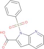 1-Benzenesulfonyl-1H-pyrrolo[2,3-b]pyridine-2-carboxylic acid