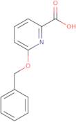 6-(Benzyloxy)pyridine-2-carboxylic acid
