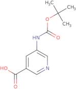 5-((tert-Butoxycarbonyl)amino)nicotinic acid