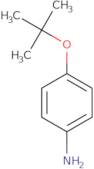 4-(tert-Butoxy)aniline