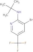 3-Bromo-N-(tert-butyl)-5-(trifluoromethyl)pyridin-2-amine