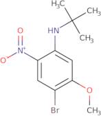 4-Bromo-N-(tert-butyl)-5-methoxy-2-nitroaniline