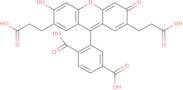 2',7'-Bis(2-carboxyethyl)-5(6)-carboxyfluorescein