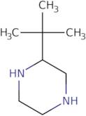 2-tert-Butylpiperazine dihydrochloride