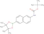 Tert-butyl 6-(4,4,5,5-tetramethyl-1,3,2-dioxaborolan-2-yl)naphthalen-2-ylcarbamate