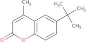 6-TERT-BUTYL-4-METHYLCOUMARIN